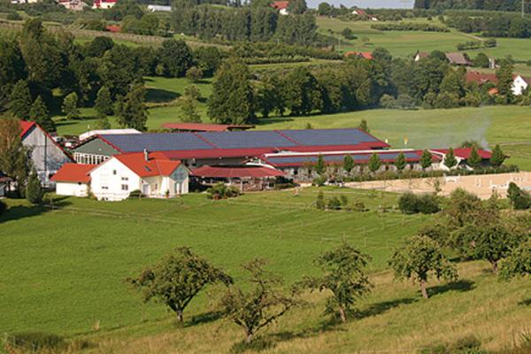 Gestüt und Reiterhof in Liebenau-Madenreute